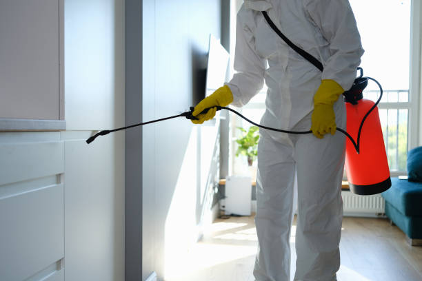 Somerset, KY Mold Removal Company